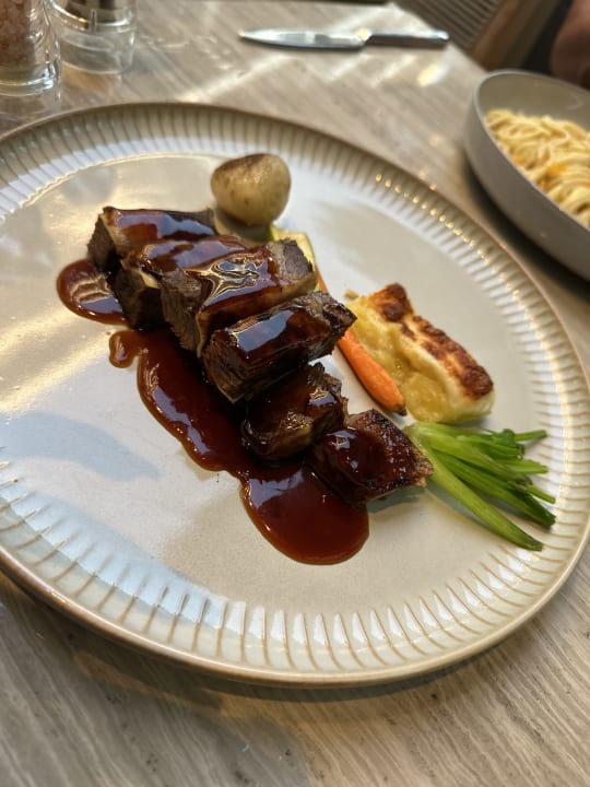Gastro Acanthus Cennet Barut Collection