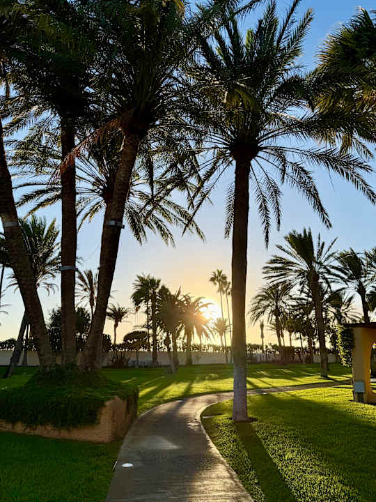 Gartenanlage ROBINSON JANDIA PLAYA