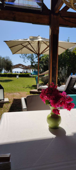 Sonstiges The Orangers Beach Resort and Bungalows