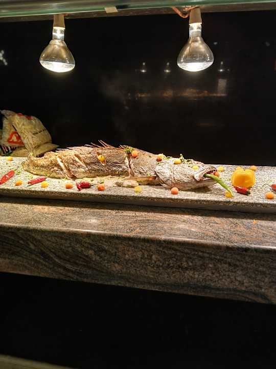 Gastro Serenity Alma Heights