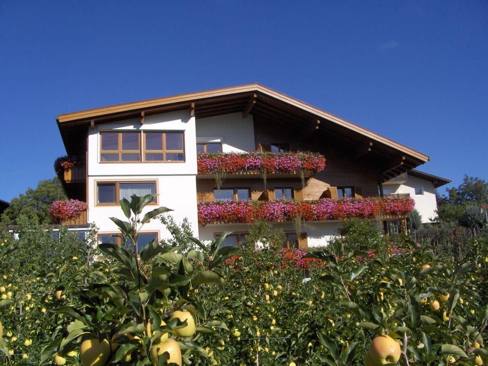 Pension Weinberg Pension Weinberg