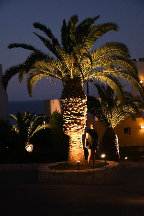 Gartenanlage Grand Hotel Holiday Resort