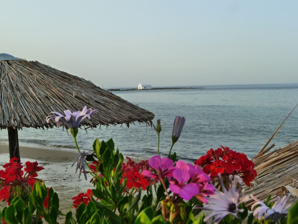 Strand Harmony Boutique Resort