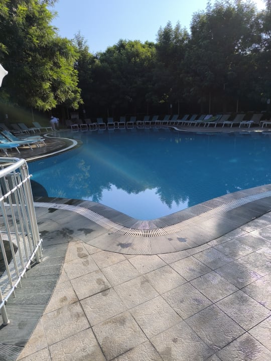 Pool Can Garden Beach