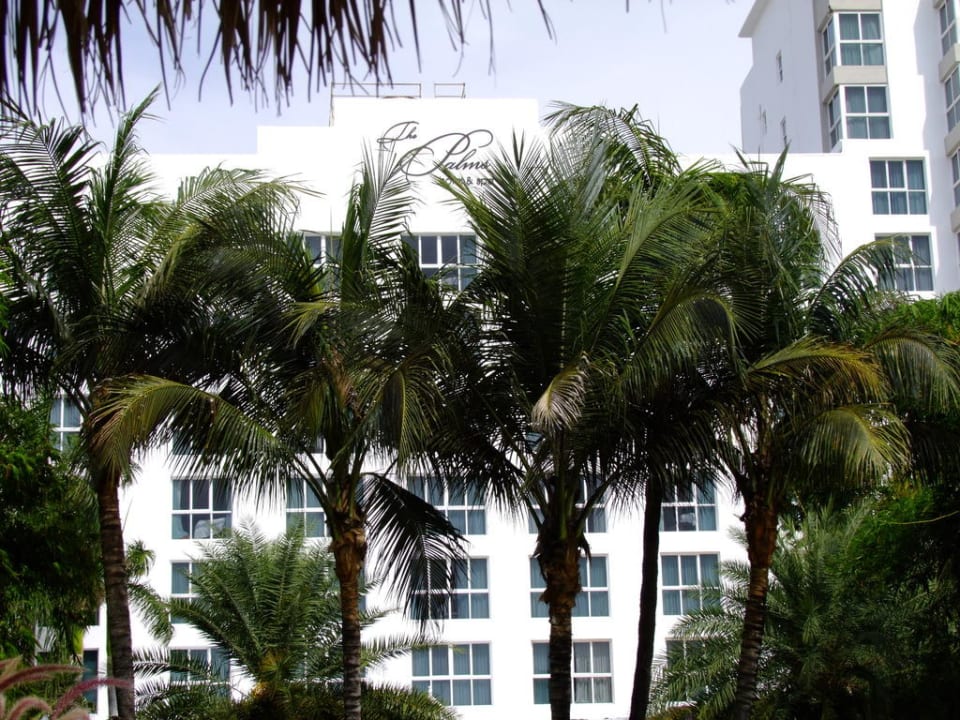 Hotel The Palms Hotel & Spa