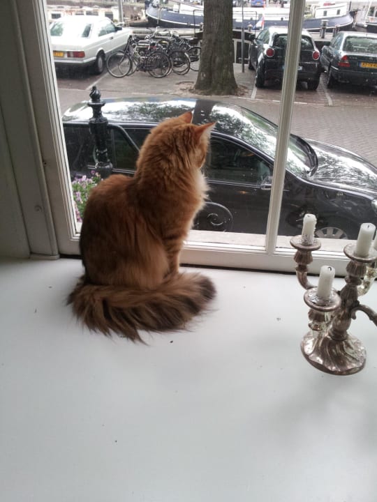 Вас всегда ожидают друзья Hotel Kalkmarkt Suites