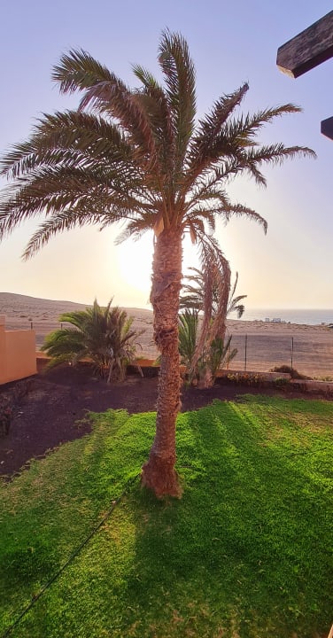 Gartenanlage Bakour Fuerteventura La Pared