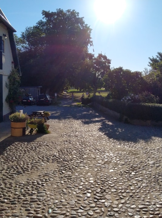 Ausblick Ferienbauernhof Liesenberg mit Meerblick