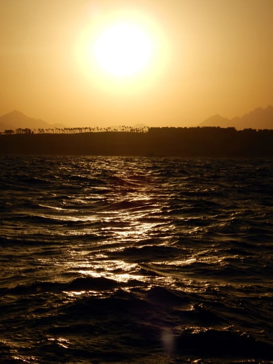 Citadel Azur Resort Pickalbatros Citadel Resort