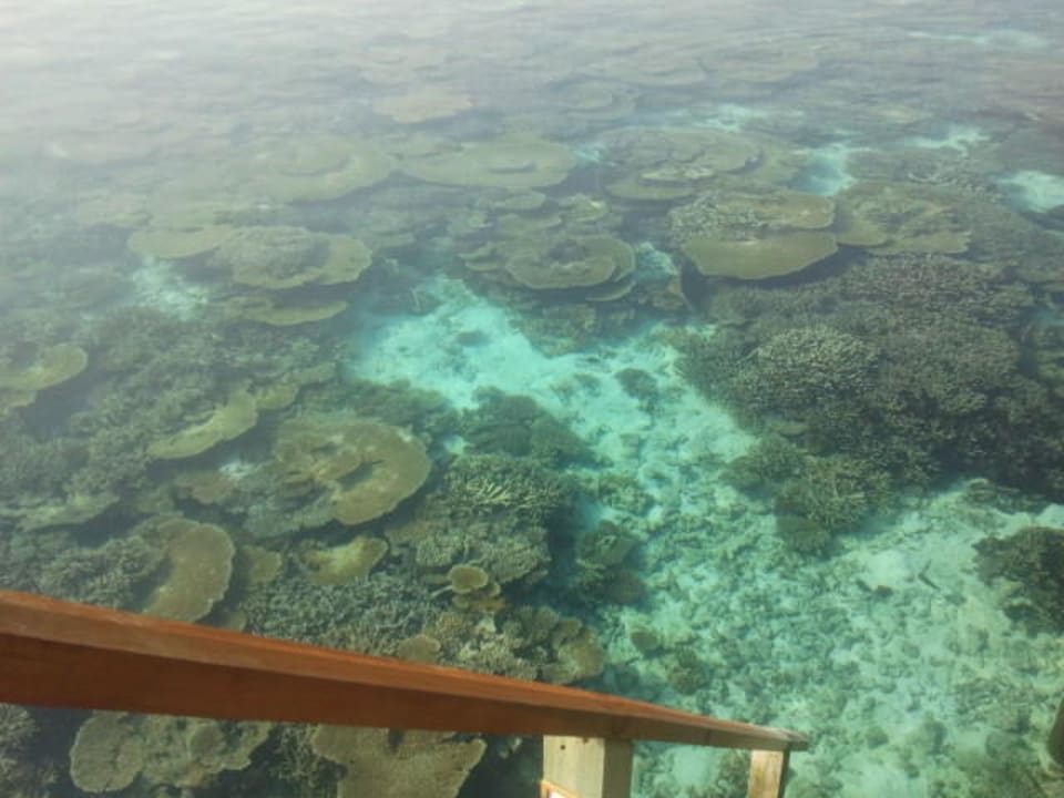 Das Riff Mirihi Island Resort