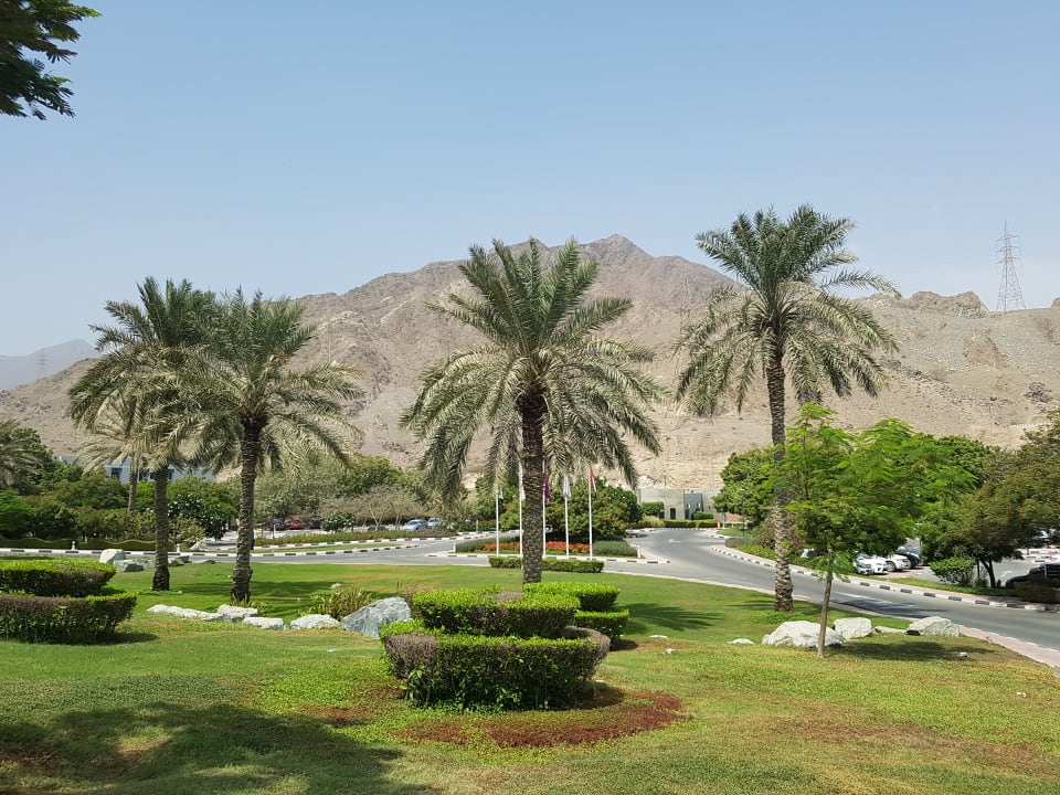 Gartenanlage Hotel Le Meridien Al Aqah Beach Resort