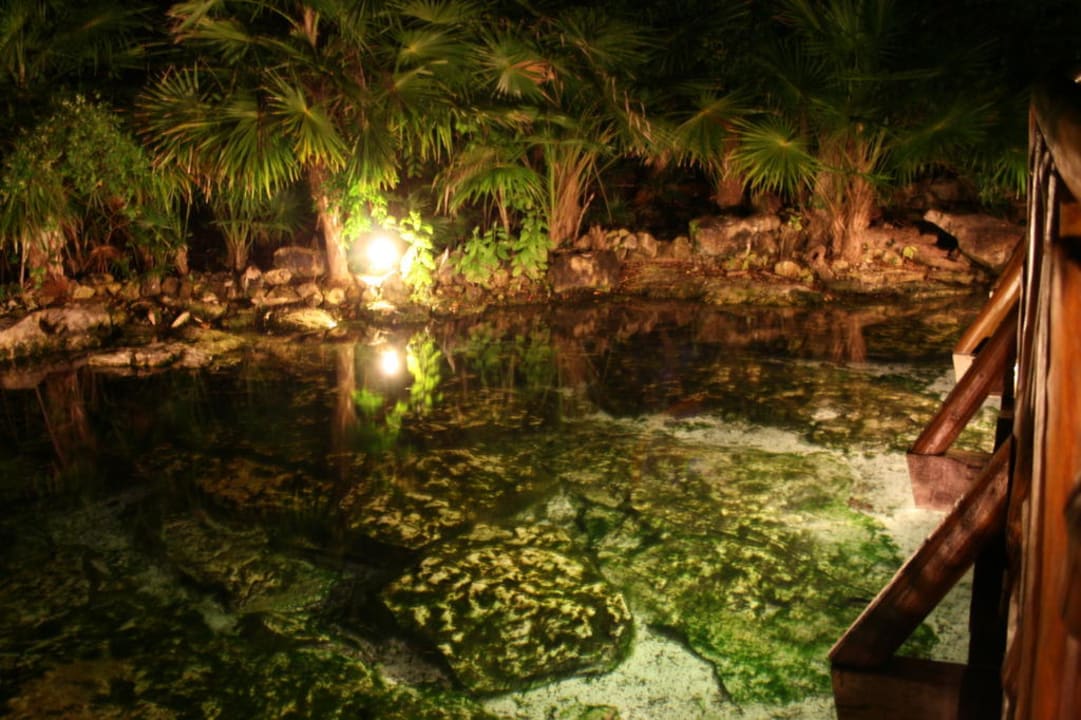 Hoteleigene Cenote Catalonia Royal Tulum Beach & Spa Resort - Adults only