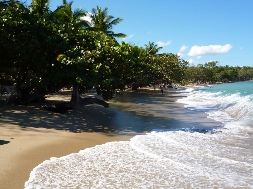 Am Strand Playabachata Hotel