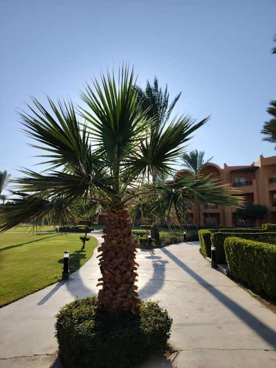 Gartenanlage Stella Beach Resort & Spa Makadi Bay