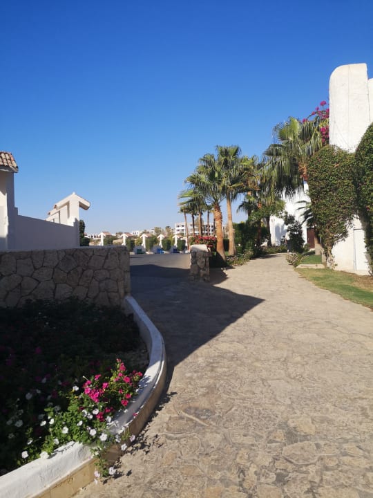Garten Sharm Club Beach Resort