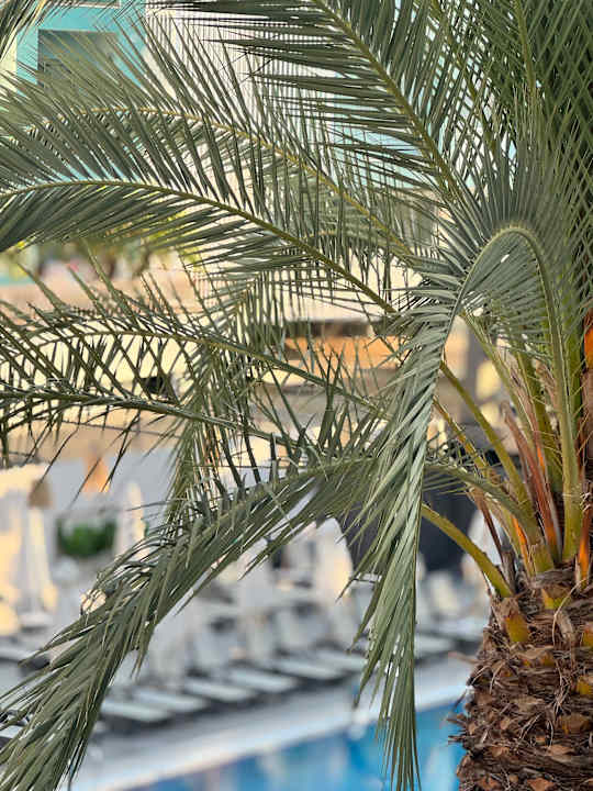 Pool Side Story Resort & Spa