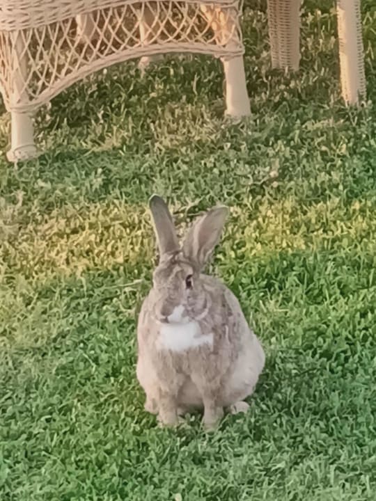 Gartenanlage Labranda Alantur Resort