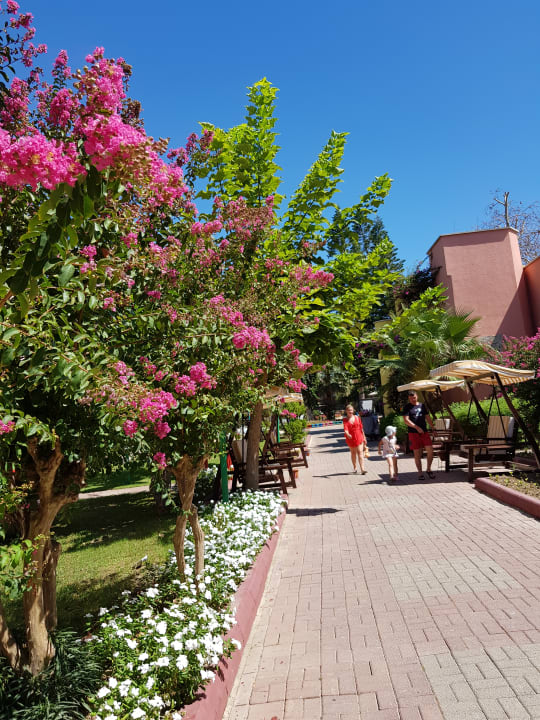 Gartenanlage VONRESORT Golden Beach