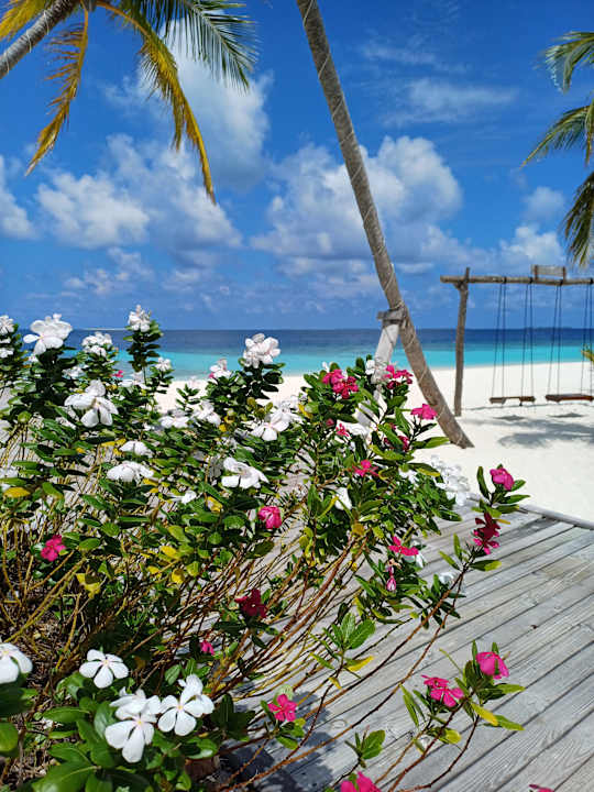 Gartenanlage Kudafushi Resort & Spa