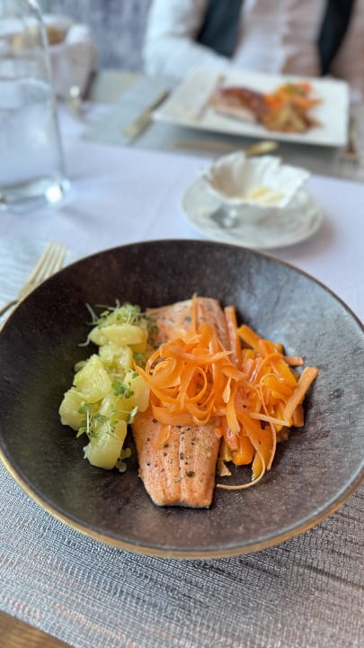 Gastro FONTIS luxury spa lodge