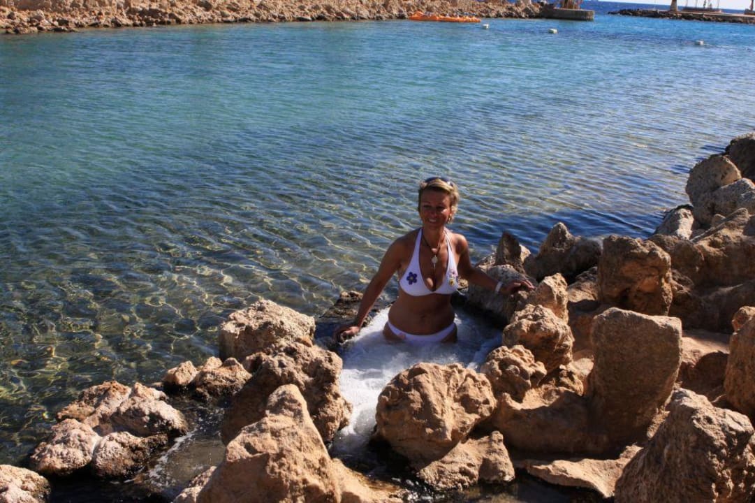 Citadel Azur Meerwasserjacuzzi Pickalbatros Citadel Resort