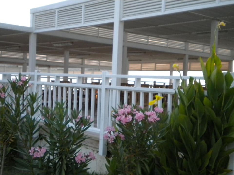 Restaurant Strand Club Side Coast