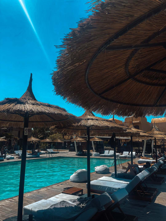 Pool Cook's Club El Gouna