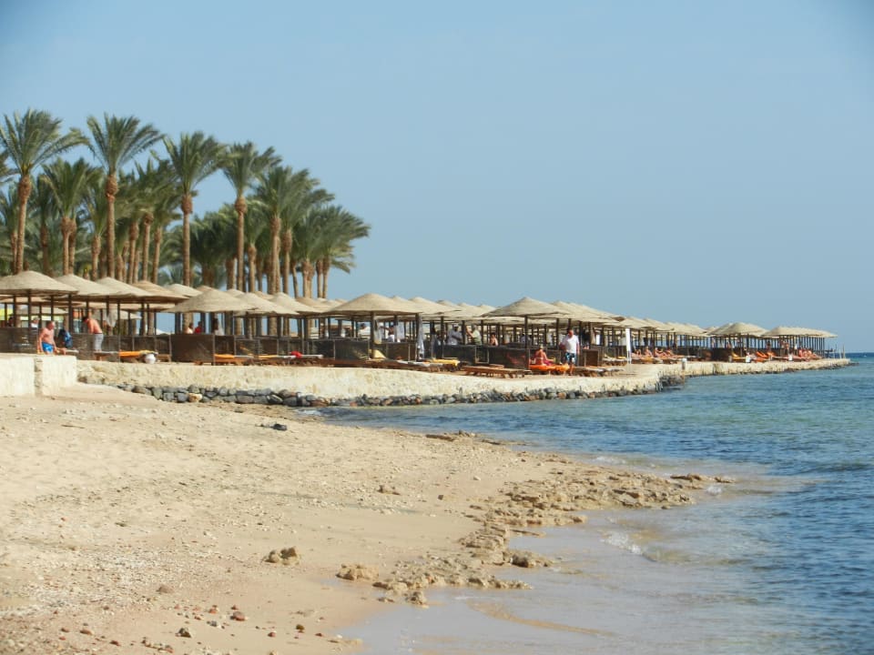 Hoteleigener Strand Makadi Palace