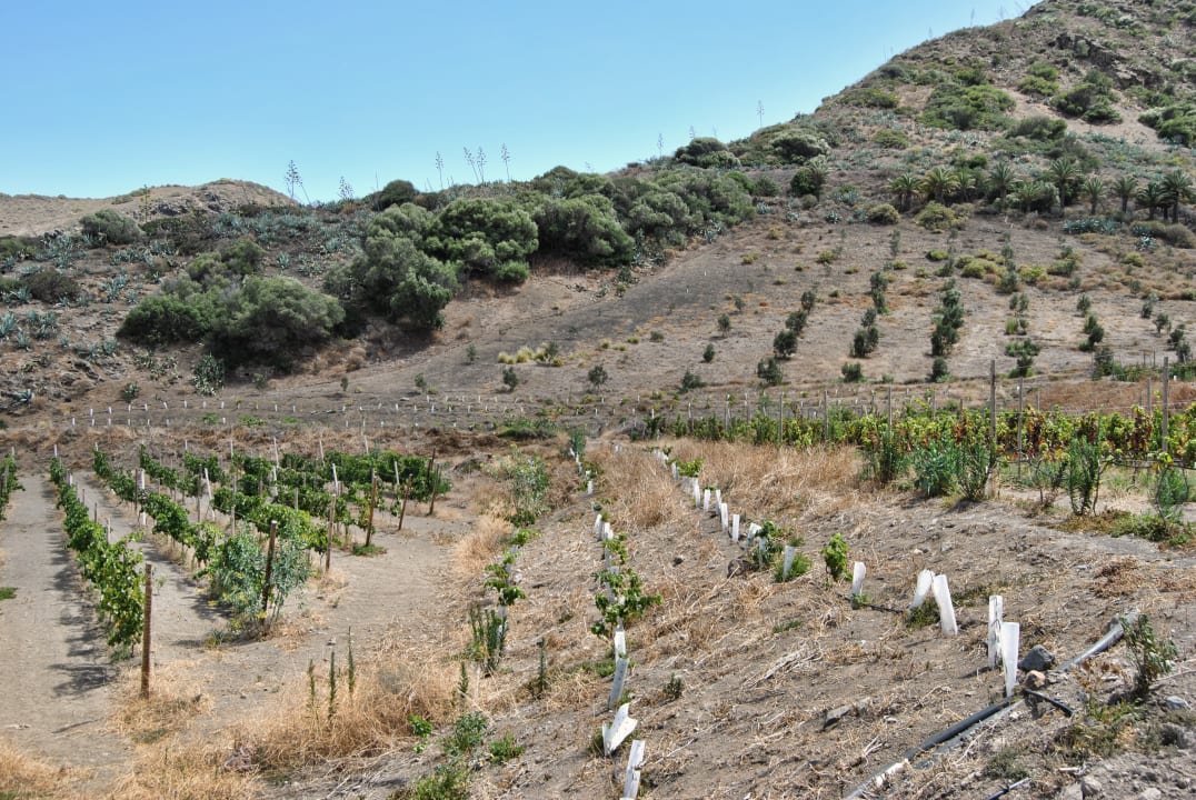 Gartenanlage Hotel Rural El Mondalón