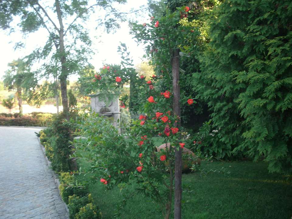 Parkähnlich Ferienhof Quinta do Padrão