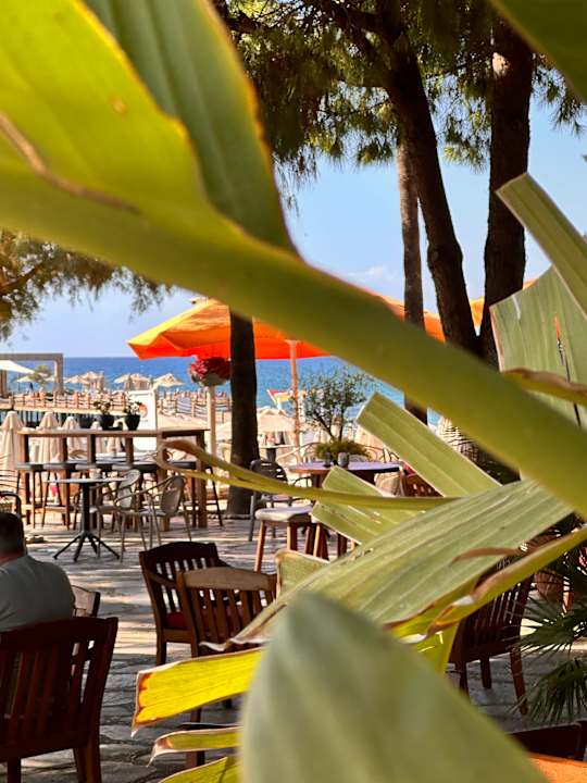 Gastro Arum Barut Collection