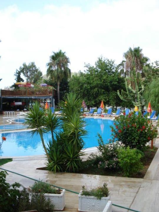 Pool Hotel Meri