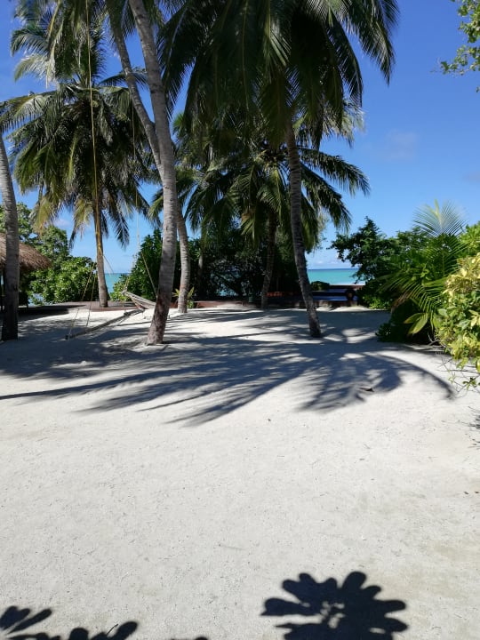 Außenansicht Summer Island Maldives