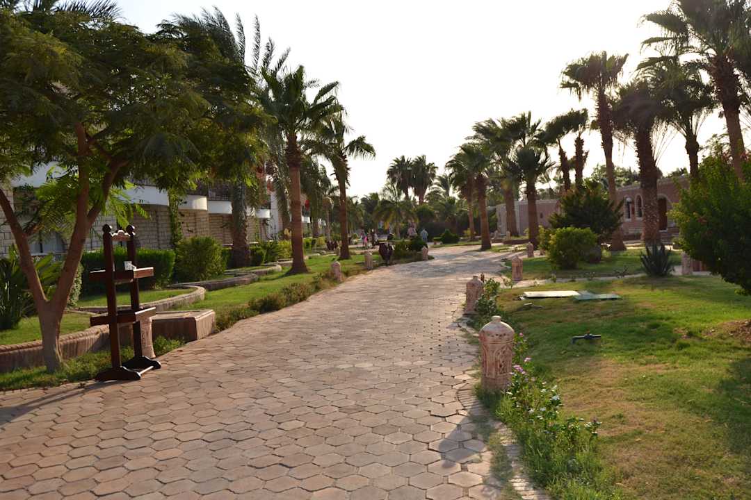 Территория отеля Aladdin Beach Resort