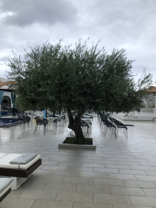 Gartenanlage Anemos Luxury Grand Resort