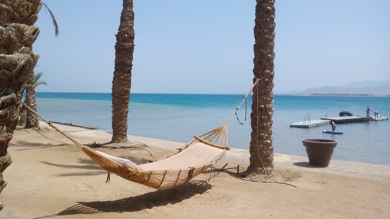 Strand Palm Royale Resort - Soma Bay