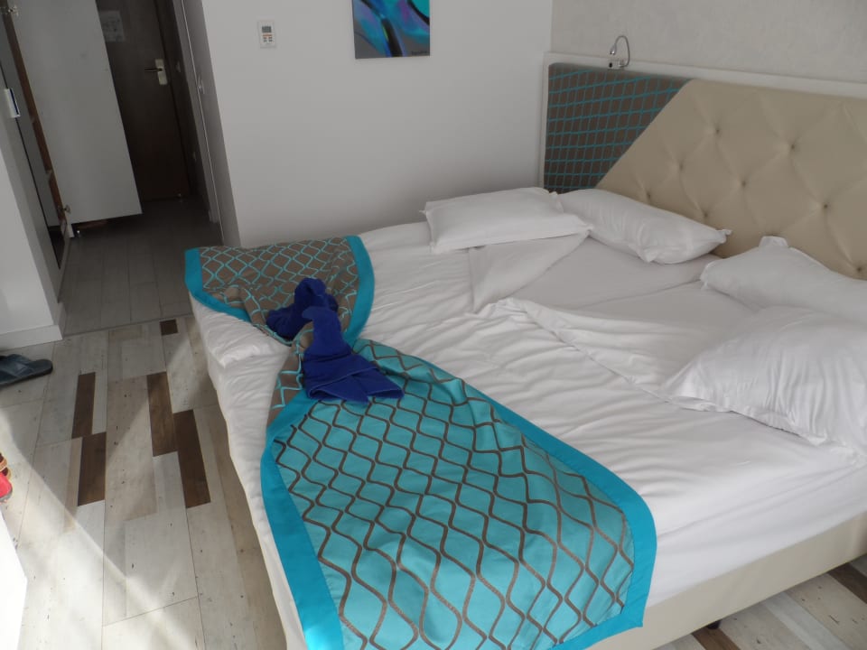 Zimmer Sentido Marea