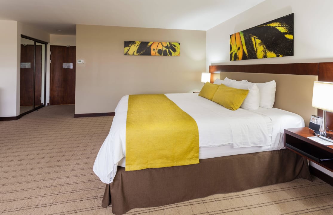 Standard Room King Bed Wyndham Garden Hotel San Jose Escazu