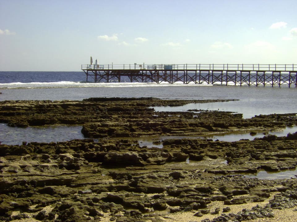 Steg im Süden zum Hausriff Sentido Akassia Beach