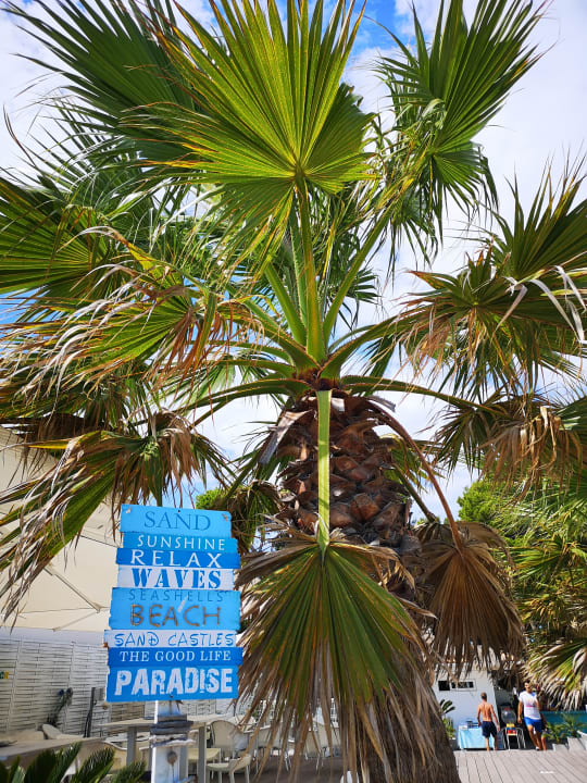 Gastro HSM Lago Park