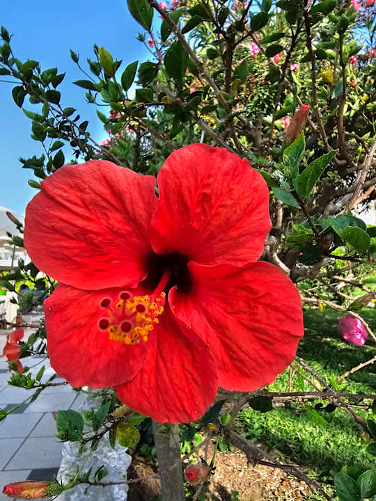 Gartenanlage Aldiana Club Rocca Nettuno Calabria