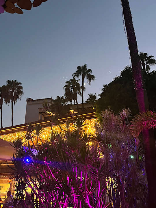 Gartenanlage Hotel Parque Tropical