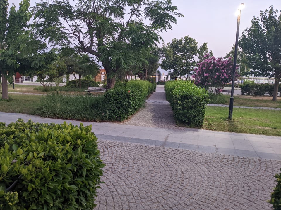 Garten Sentido Trendy Verbena Beach