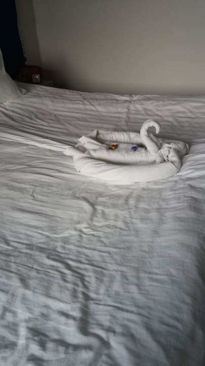 Zimmer HVD Viva Club Hotel