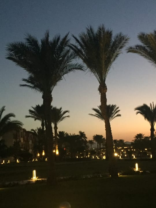 Garten Pickalbatros Dana Beach Resort - Hurghada