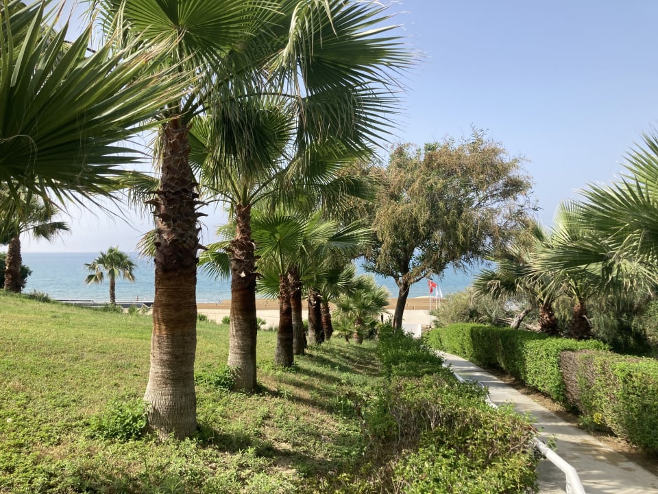 Ausblick Side Sunport Hotel & Spa