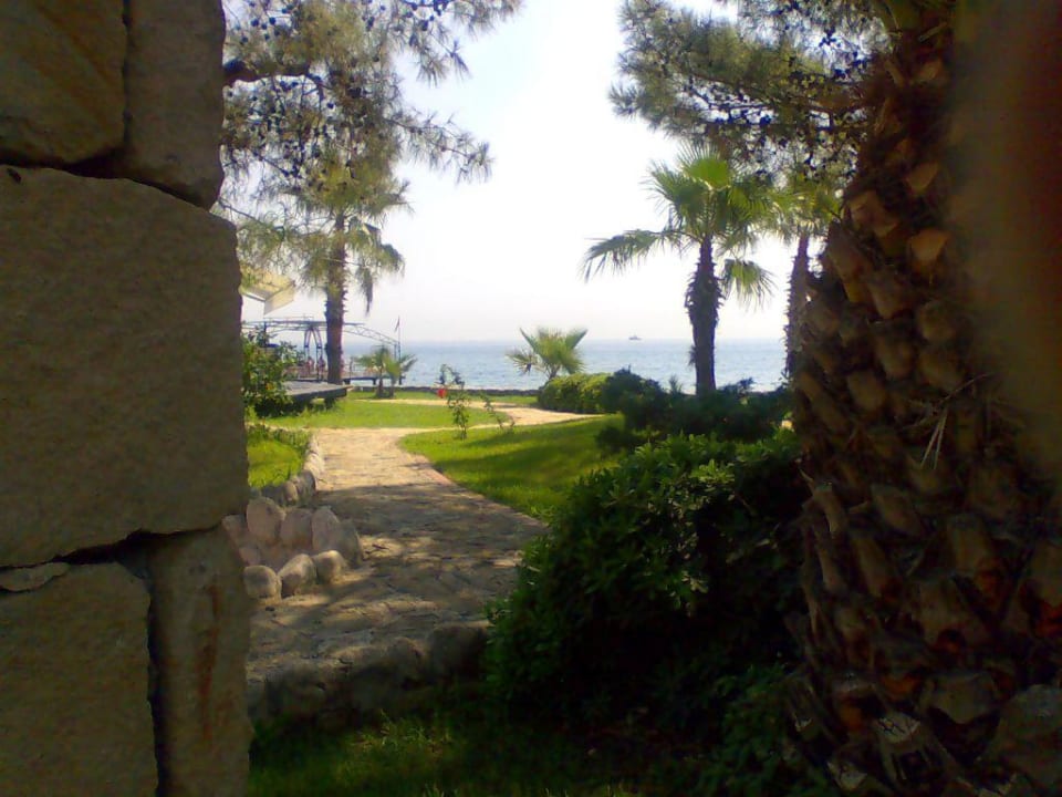 Lesen im Schatten Hotel Grand Ring