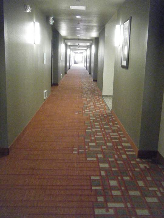 Hotelflur Holiday Inn Express & Suites Williams