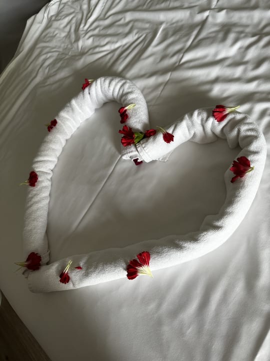 Zimmer Hotel Delphin Diva