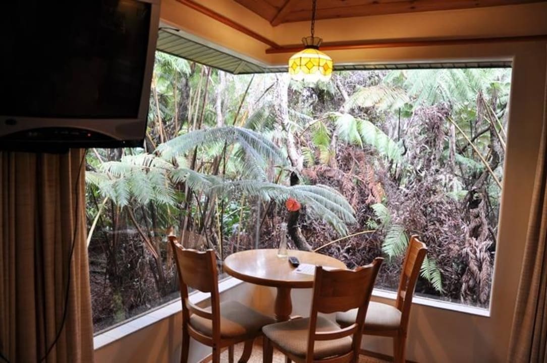 Window Volcano Forest Inn